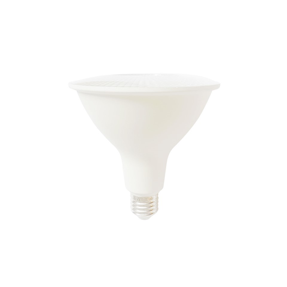 PAR30 LED Bulb